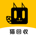 猫咪安置新途径：多种选择延续爱心