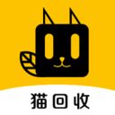 猫咪安置新途径：多种选择延续爱心