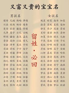 2024龙宝宝取名秘诀：吉祥字汇与美好寓意