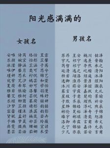 2024木龙宝宝取名技巧：避忌与补益全解析