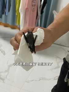周公解梦蝙蝠入屋的吉凶寓意