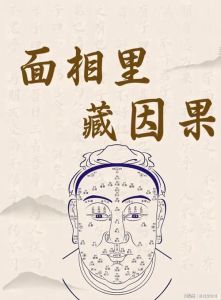 无财面相特征，解码财运密码！