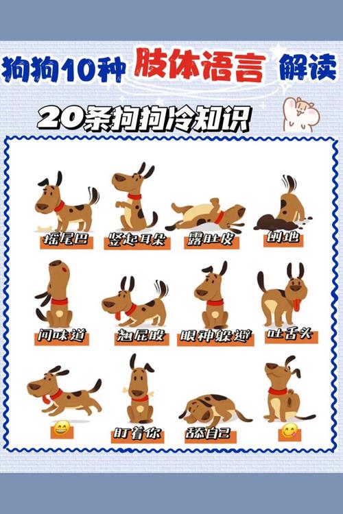52种男生动心肢体语言，解码爱情微表情