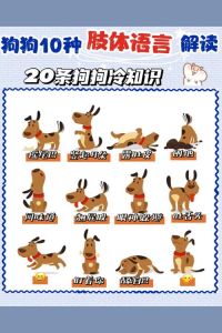 52种男生动心肢体语言，解码爱情微表情