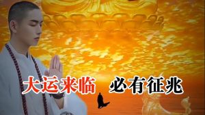 10大好运征兆，把握美好时光！