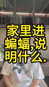 蝙蝠入家：吉祥预兆与风水寓意解析