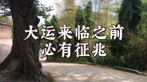 大运将至：多重征兆预示美好转折时刻