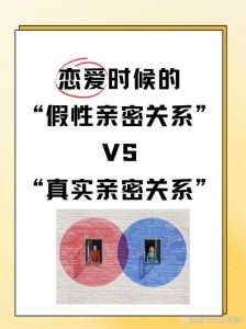 男女关系探秘：情感海洋中的真挚寻觅