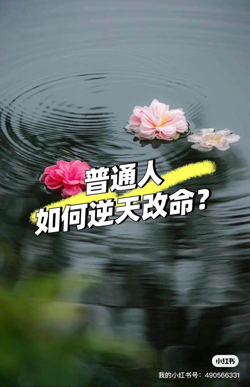 改命秘籍：读书早起正念，开启命运新篇章