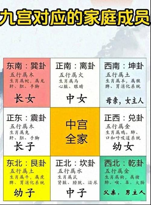 办公室风水布局：助你事业腾飞的秘密武器！