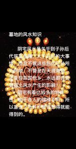 风水布局提升事业运：办公室客厅秘籍，财运亨通！