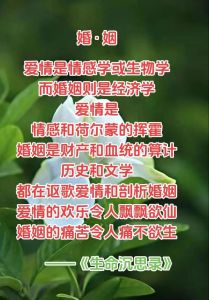 已婚女人再婚梦解析：心理与文化启示