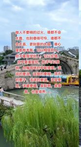 女性傻智慧：强势与平衡的艺术