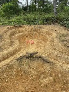 祖坟风水：家族运势的晴雨表与维护之道