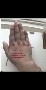 福厚女人：坚韧智慧，人生璀璨星辰