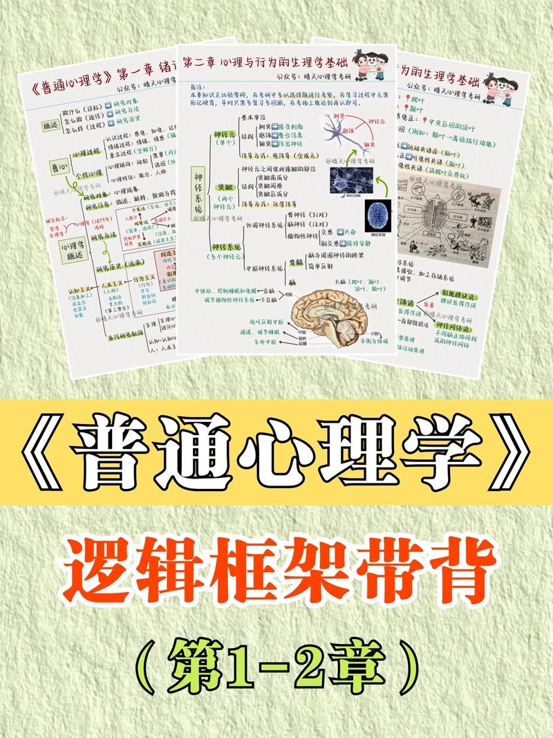 女性心理逻辑情感细腻与思维火花