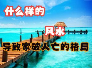 风水之谜：道德底线与和谐共生之道