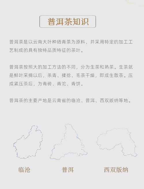 普洱茶香探秘：十大山头传奇与茶文化传承