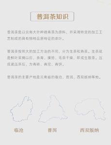普洱茶香探秘：十大山头传奇与茶文化传承
