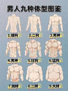 男性多样面貌：海王暖男小奶狗等类型全解析