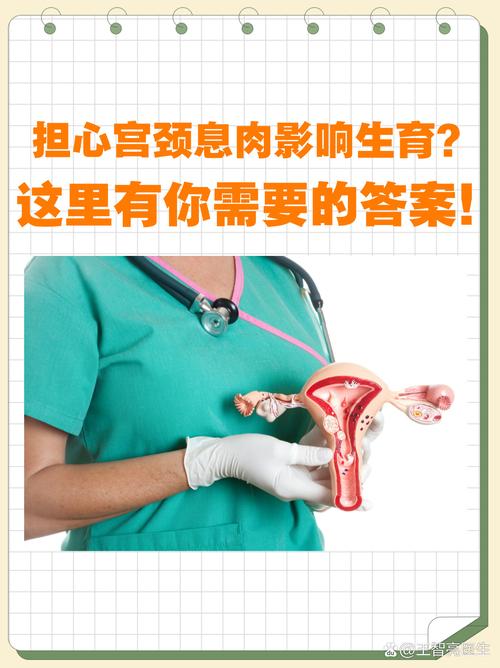 性别奥秘生理心理差异与平等探索
