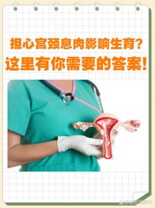 性别奥秘生理心理差异与平等探索