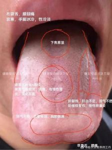 男性魅力生理心理行为解析