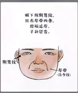 阴德厚重女性面相：生活幸福密码解析