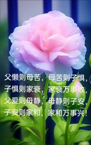 家庭衰败征兆，守护幸福家园指南