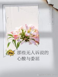 都市角落里的无声泪：小晴的苦涩人生