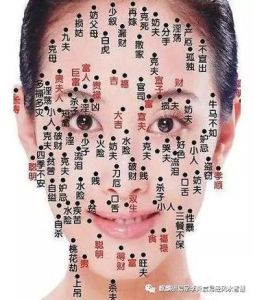 面相学：解码命运与性格的神秘艺术