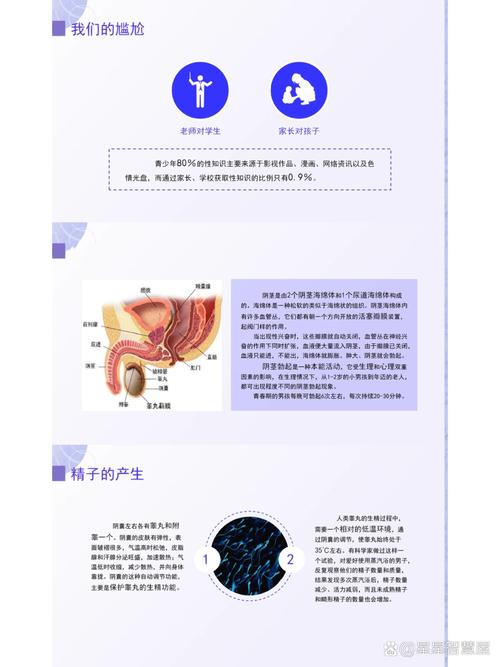 青春期男孩性教育指南：父母必备成长护航手册