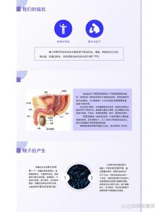 青春期男孩性教育指南：父母必备成长护航手册