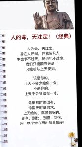 命运注定与自我塑造：探索命运轨迹的奥秘