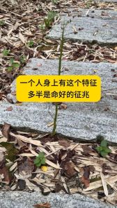 日常小细节影响女性寿命，长寿健康生活秘诀！