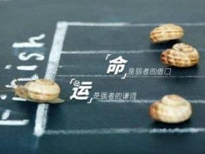 童子煞命理中的因果循环与化解之道