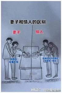 爱情旅程：老婆与女朋友的区别与角色
