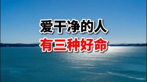 八字干净与命运，适度整洁的家庭哲学