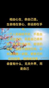 命运与选择：解析人生棋局与自我救赎