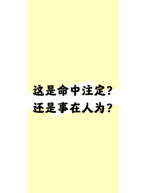不惑之年感悟：从人定胜天到命运相随的人生转变