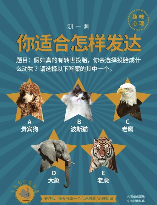 巧解宿舍不合群：三大根源与和谐共处之道