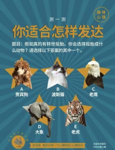 轮回次数：心理测试探三世因果债之谜