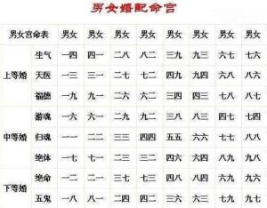 命运轮回：前世测算与性格之谜