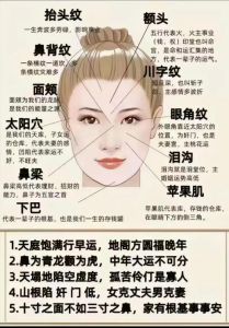 科技面相新探：FaceApp开启命运性格新解读