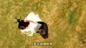 梦境婚礼：婚姻心理渴望大解析