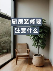 新厨房搬家攻略：布局搬运与选购全解析