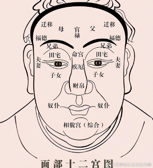 面相解码：揭示性格命运与改写命理奥秘