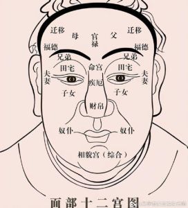 面相解码：揭示性格命运与改写命理奥秘