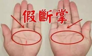 左手断掌男的爱情密码：婚姻生活的甜蜜与挑战