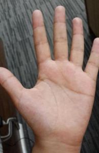 断掌男人：命运传奇与情感挑战